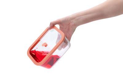 STATUS – Комплект вакуумни контейнери от огнеопорно стъкло Viva, 3 части - 0,5L+1,4L+2,6L